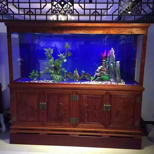 百晶坊 專業水族定制工廠，為您打造專屬水下世界——專訪負責人狄宏