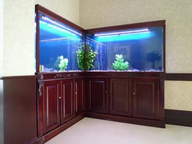 百晶坊專業水族定制工廠 匠心獨運，打造專屬水下世界