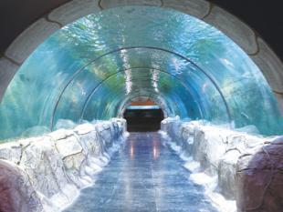 蘇州興誠 水族工程有機玻璃供應的誠信之選