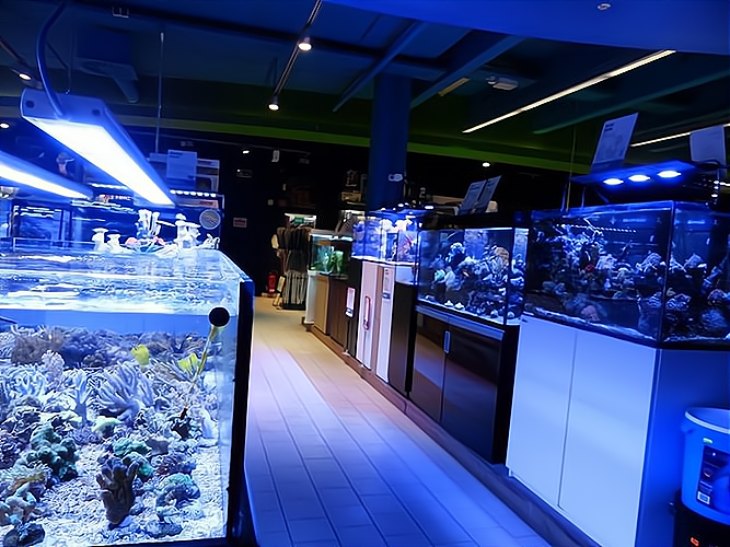 水族店店_水族店,專業指導讓你輕松創業!水族店店費